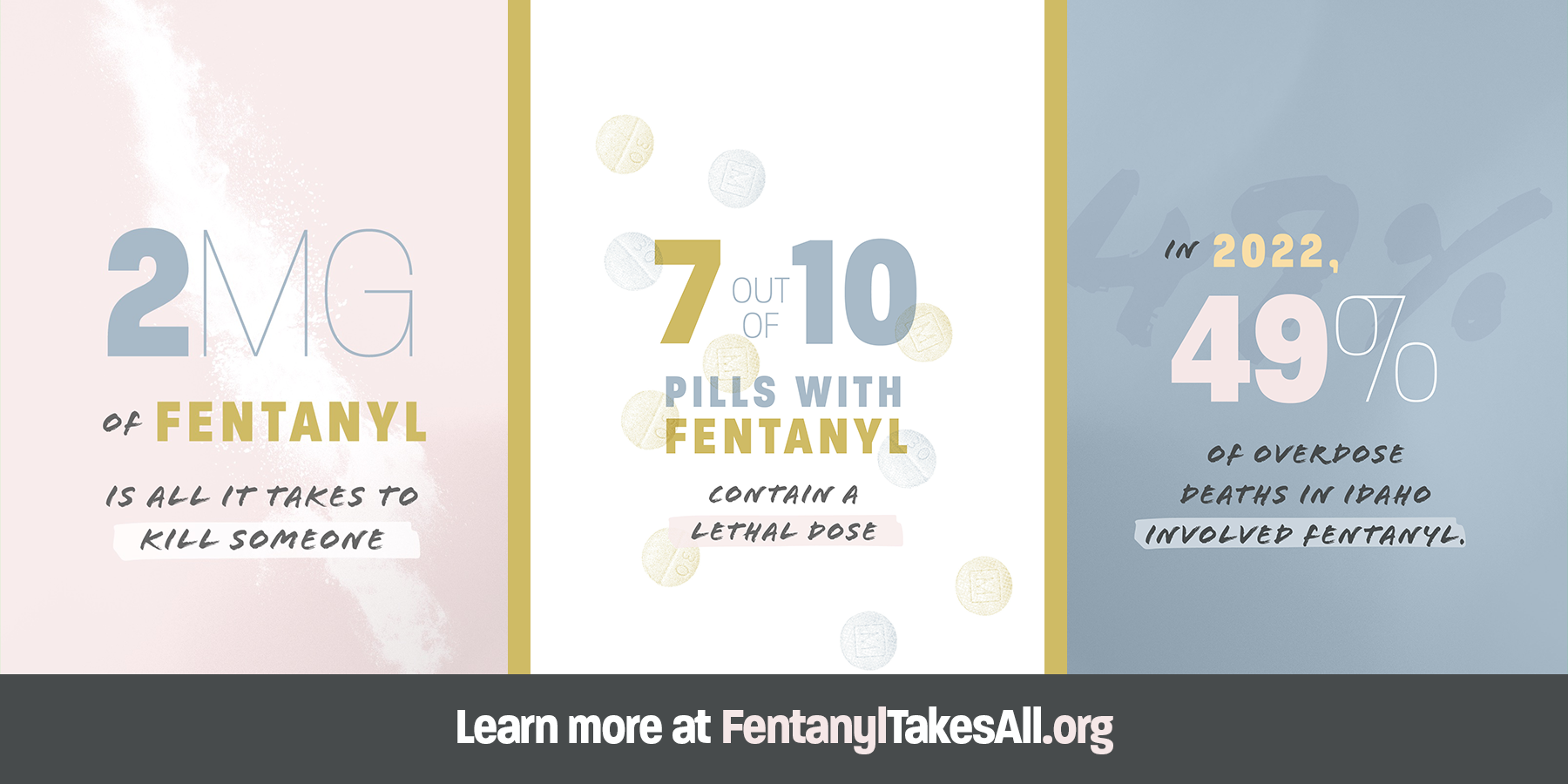 Slide linking to the Fentanyl Takes All website