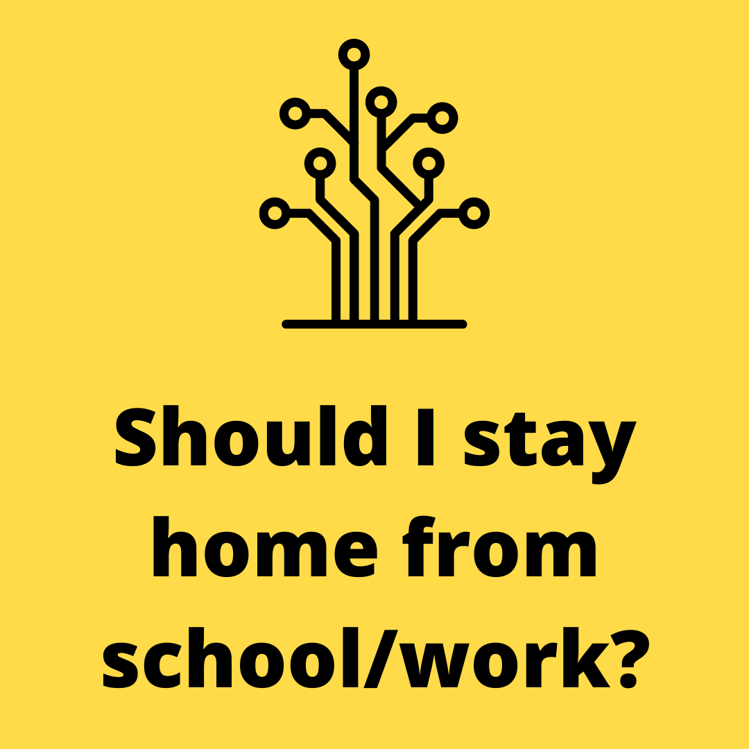 Web page discussing when to stay home if you are sick