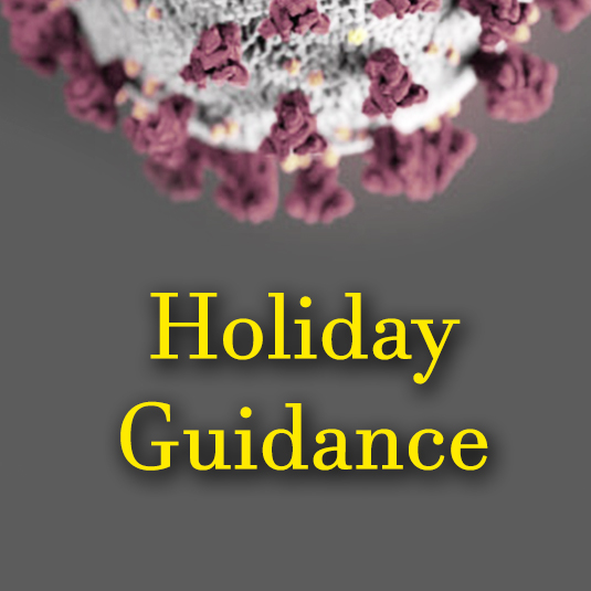 Holiday guidance icon
