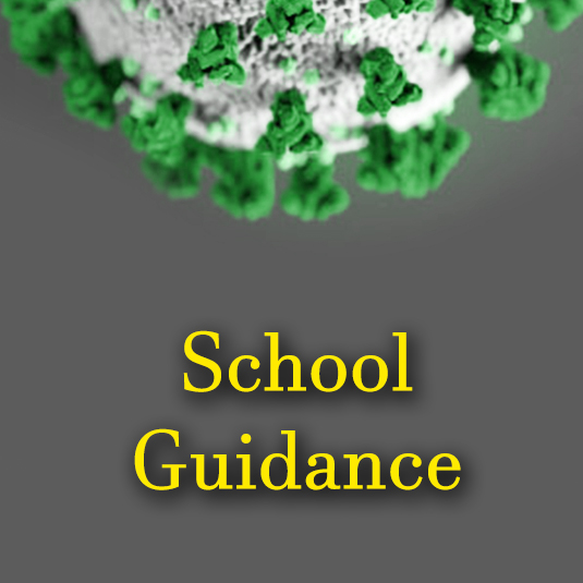 School guidance icon