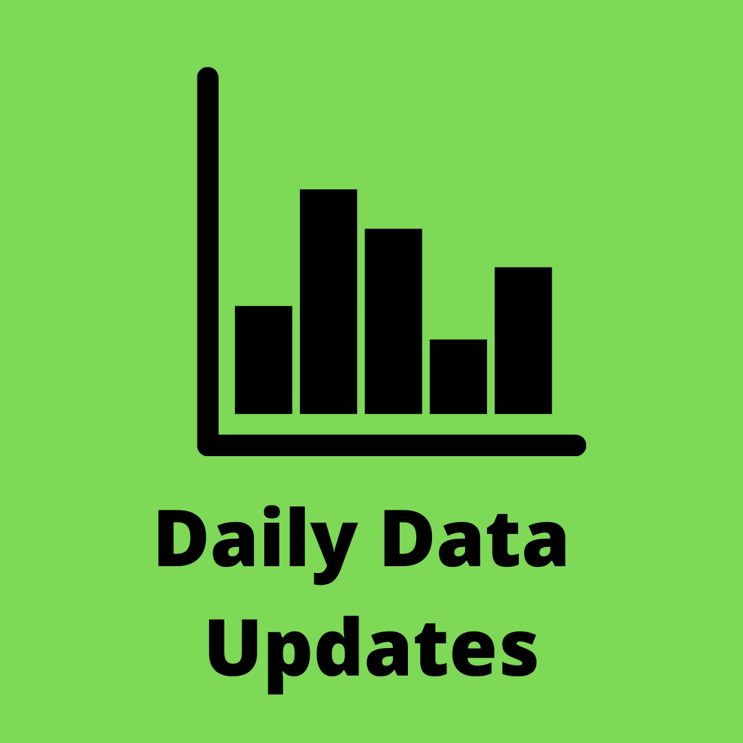 Daily Data Icon