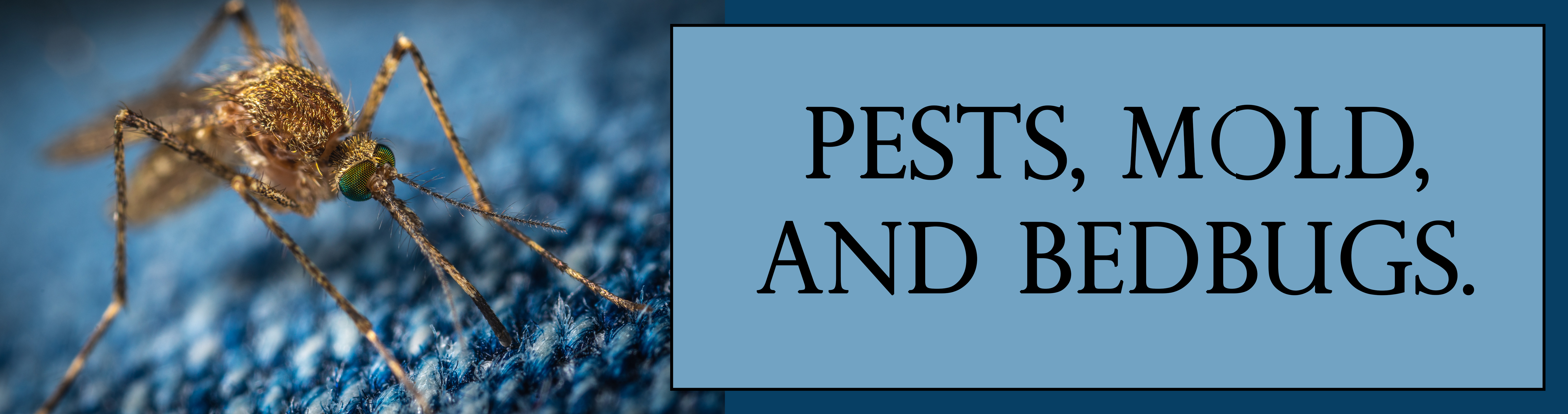 Pest, Mold, and Bedbugs Banner