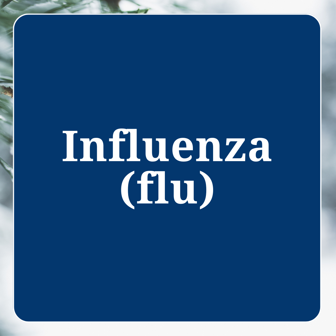 Influenza information link